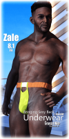 Fitting Morph - Zale 8.1 - Bringing Sexy Back - Underwear for Genesis 8 Male