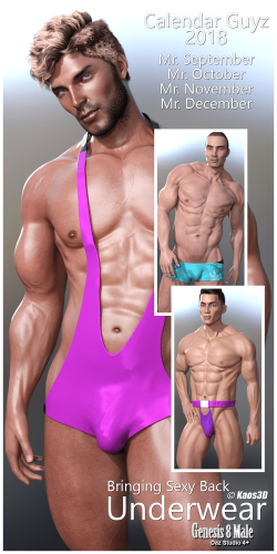 Fitting Morph - Calendar Guyz 2018 Fits - Bringing Sexy Back - Underwear for Genesis 8 Male